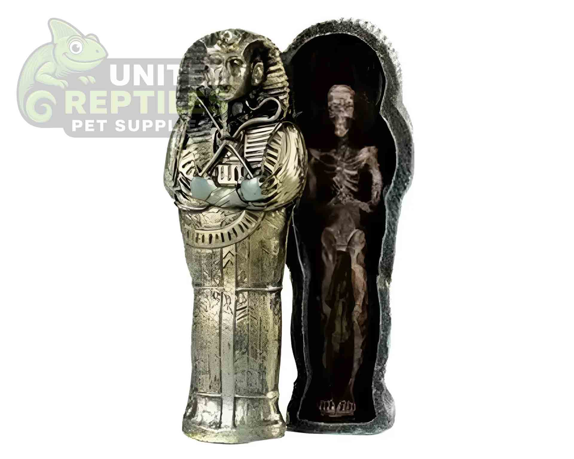 NS-93 Resin Mummy - Image 2