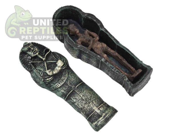 abstract hexagonal shape with lizard inside NS-93 Resin Mummy