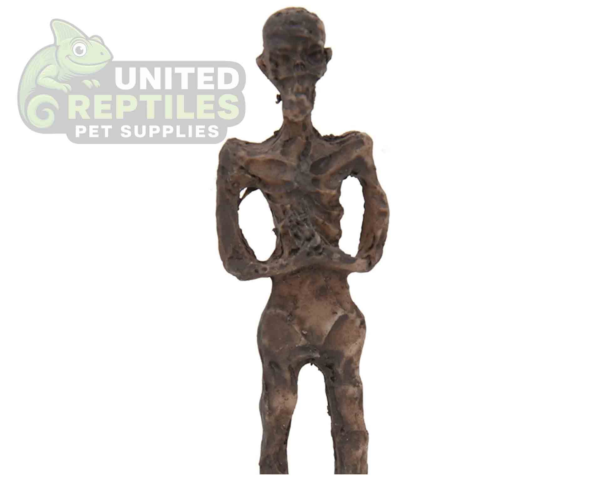 NS-93 Resin Mummy - Image 5