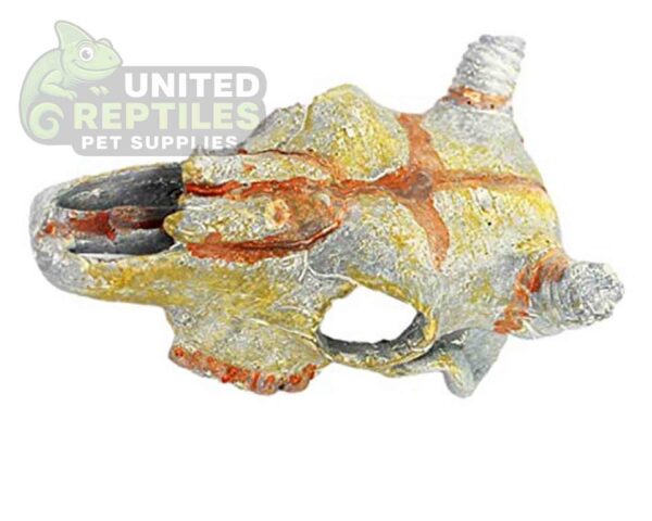 Nomoy NS-107 Resin Skull