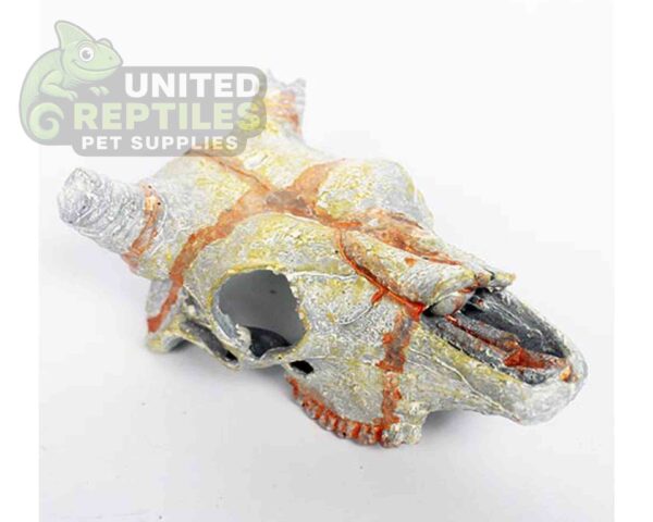 Nomoy NS-107 Resin Skull