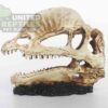 abstract hexagonal shape with lizard inside NS117 Bird Head Resin Skull