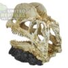 abstract hexagonal shape with lizard inside NS117 Bird Head Resin Skull