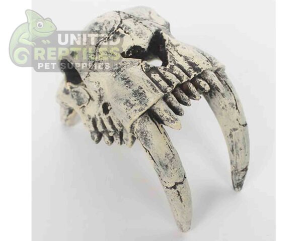 abstract hexagonal shape with lizard inside Nomoy NS-120 Resin Monster Teeth