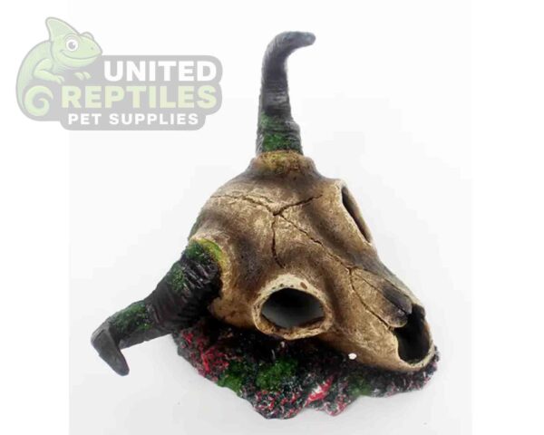 abstract hexagonal shape with lizard inside NS-125 Resin Skull Hide