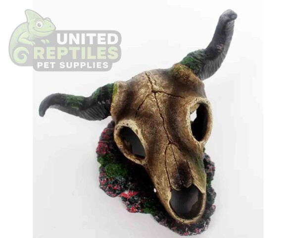 abstract hexagonal shape with lizard inside NS-125 Resin Skull Hide