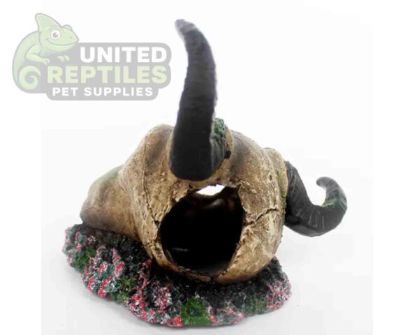 abstract hexagonal shape with lizard inside NS-125 Resin Skull Hide