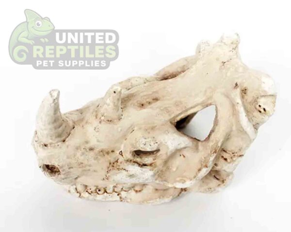 Nomoy NS-126 Rhino Skull Hide
