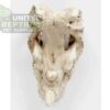 Nomoy NS-126 Rhino Skull Hide