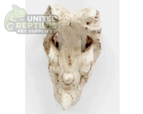 Nomoy NS-126 Rhino Skull Hide