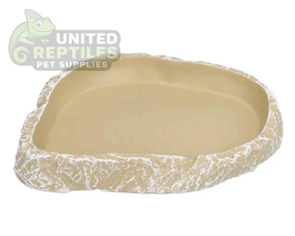 Reptile Food Water Bowl