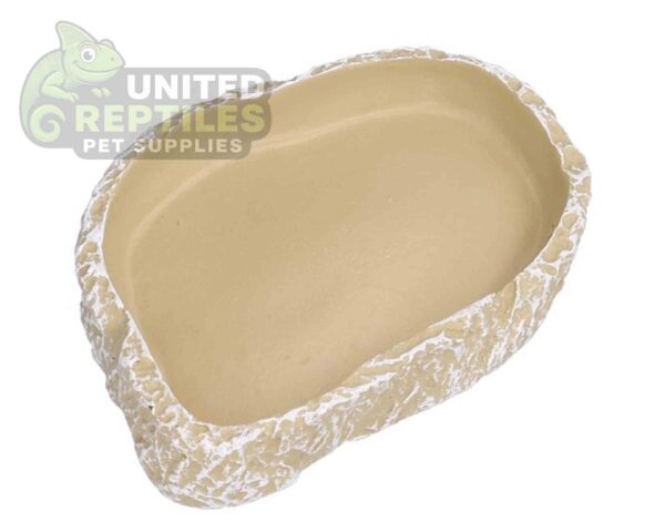 Reptile Food Water Bowl