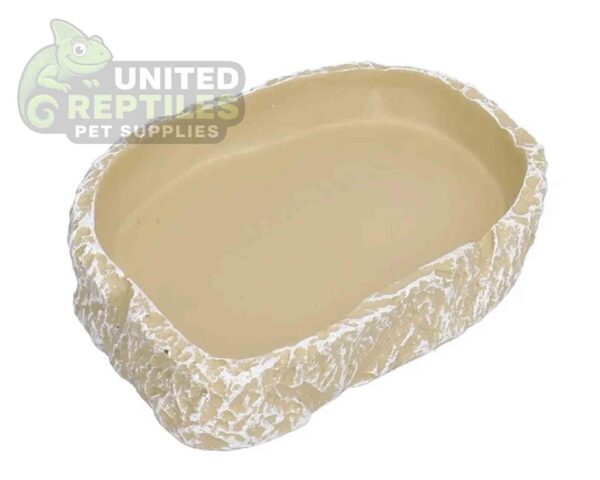 Reptile Food Water Bowl