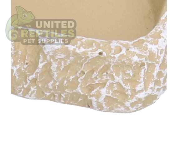 Reptile Food Water Bowl