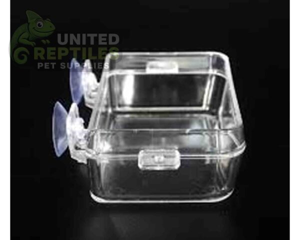 abstract hexagonal shape with lizard inside Escape-proof feeder