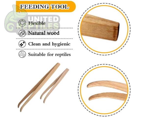 abstract hexagonal shape with lizard inside Feeding Tongs Bamboo