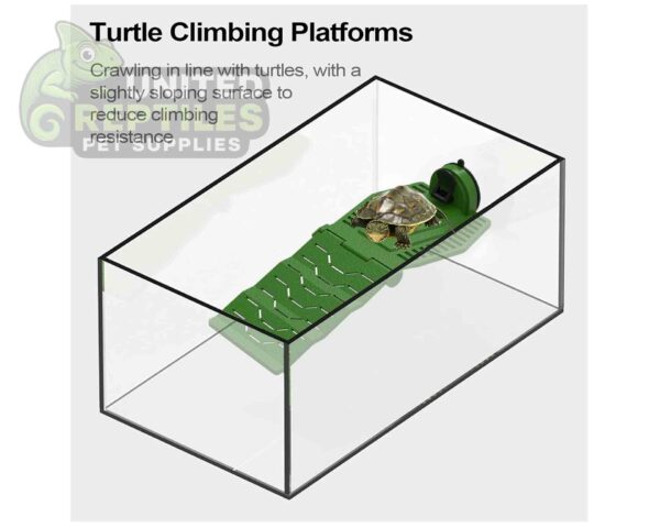 abstract hexagonal shape with lizard inside Turtle Basking Ramps for Aquarium, Tortoise Tank Ramp