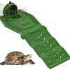 abstract hexagonal shape with lizard inside Turtle Basking Ramps for Aquarium, Tortoise Tank Ramp