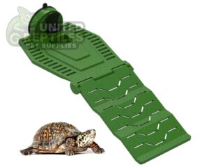 abstract hexagonal shape with lizard inside Turtle Basking Ramps for Aquarium, Tortoise Tank Ramp