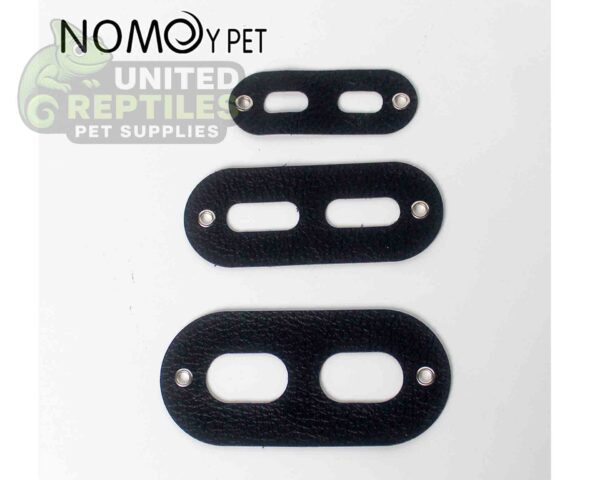 abstract hexagonal shape with lizard inside Bearded Dragon Lizard Leash Harness