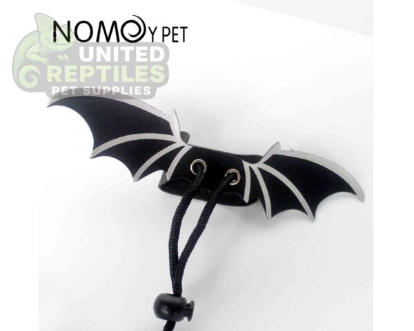 abstract hexagonal shape with lizard inside Bearded Dragon Lizard Leash Harness