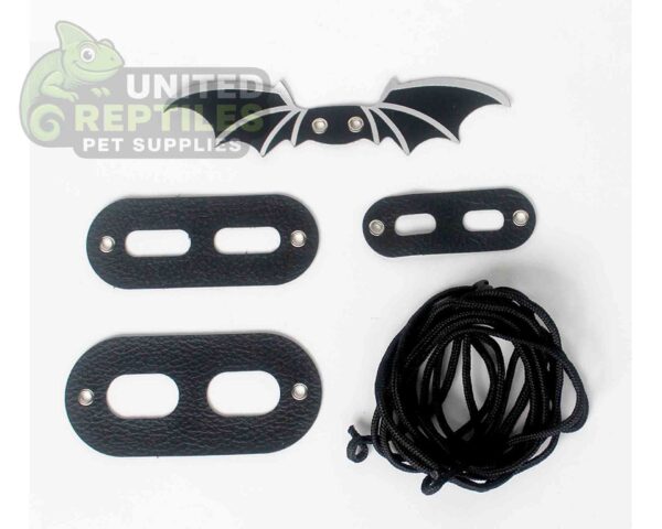 abstract hexagonal shape with lizard inside Bearded Dragon Lizard Leash Harness