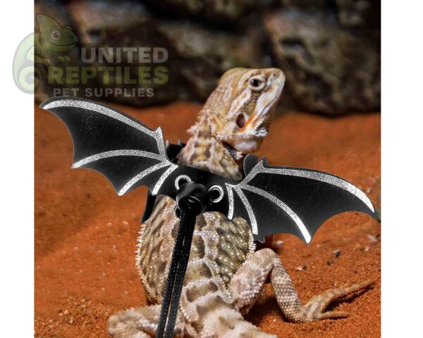 abstract hexagonal shape with lizard inside Bearded Dragon Lizard Leash Harness