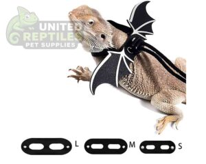 Bearded Dragon Lizard Leash Harness
