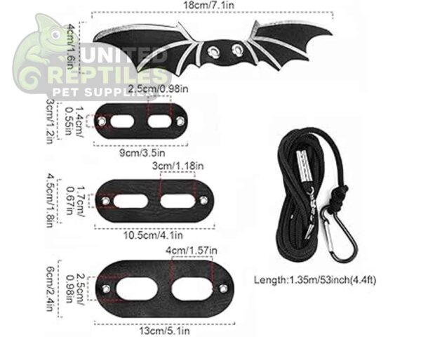 abstract hexagonal shape with lizard inside Bearded Dragon Lizard Leash Harness