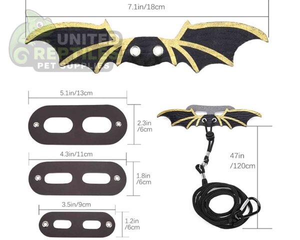 abstract hexagonal shape with lizard inside Bearded Dragon Lizard Leash Harness