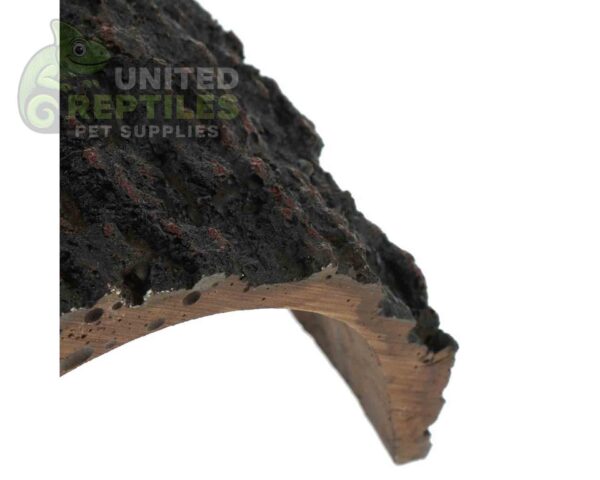 Resin tree hole hide