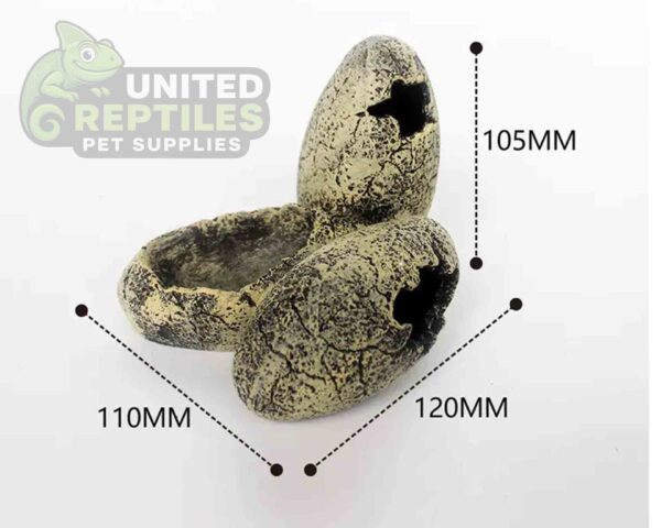 abstract hexagonal shape with lizard inside Nomoy NS-113 Resin Dino Eggs Hideout