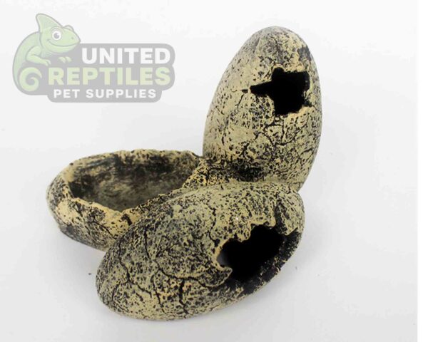 abstract hexagonal shape with lizard inside Nomoy NS-113 Resin Dino Eggs Hideout