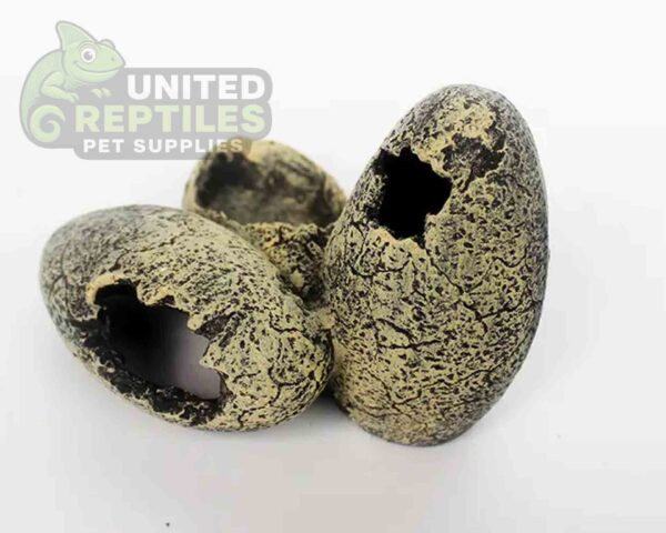 abstract hexagonal shape with lizard inside Nomoy NS-113 Resin Dino Eggs Hideout