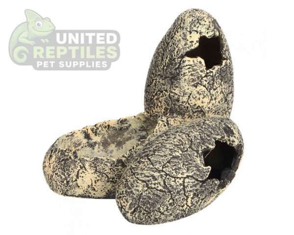 abstract hexagonal shape with lizard inside Nomoy NS-113 Resin Dino Eggs Hideout