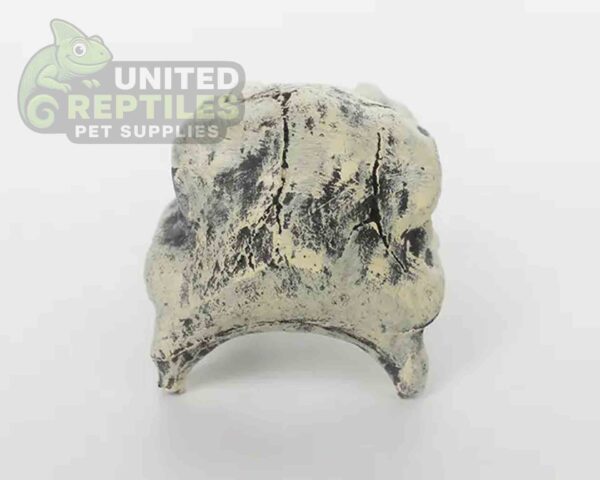 abstract hexagonal shape with lizard inside Nomoy NS-120 Resin Monster Teeth