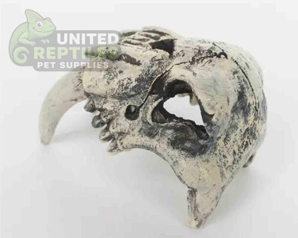 abstract hexagonal shape with lizard inside Nomoy NS-120 Resin Monster Teeth