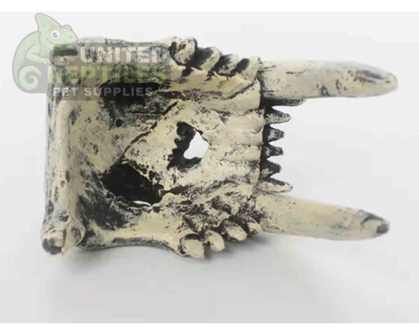 abstract hexagonal shape with lizard inside Nomoy NS-120 Resin Monster Teeth