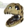 Nomoy NS-98 Dinosaur Skull