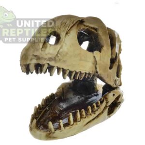 Nomoy NS-98 Dinosaur Skull