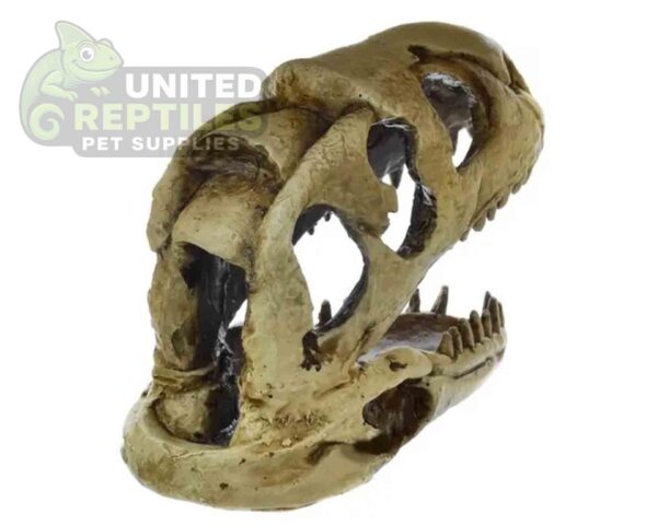 abstract hexagonal shape with lizard inside NS-98 Dinosaur Skull