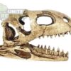 abstract hexagonal shape with lizard inside NS-98 Dinosaur Skull