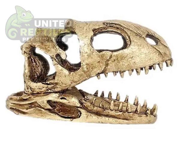 abstract hexagonal shape with lizard inside NS-98 Dinosaur Skull