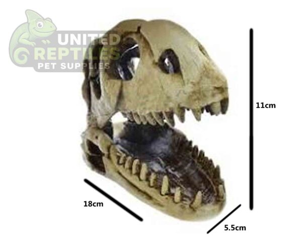 Nomoy NS-98 Dinosaur Skull