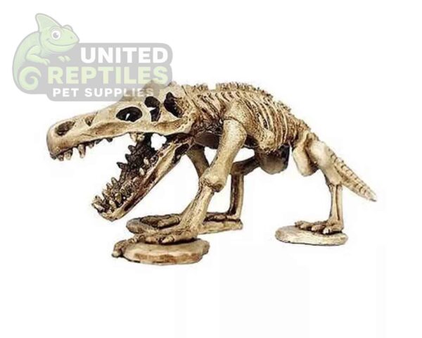 abstract hexagonal shape with lizard inside NS-99 Resin Dinosaur