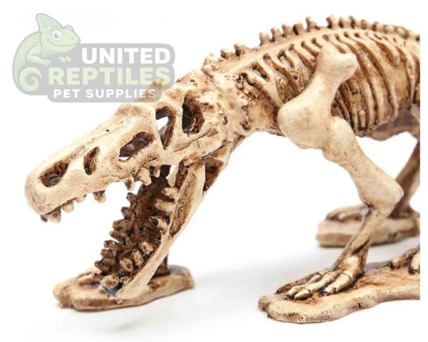 abstract hexagonal shape with lizard inside NS-99 Resin Dinosaur