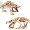 abstract hexagonal shape with lizard inside NS-99 Resin Dinosaur