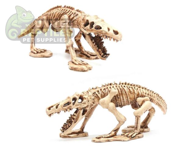 abstract hexagonal shape with lizard inside NS-99 Resin Dinosaur