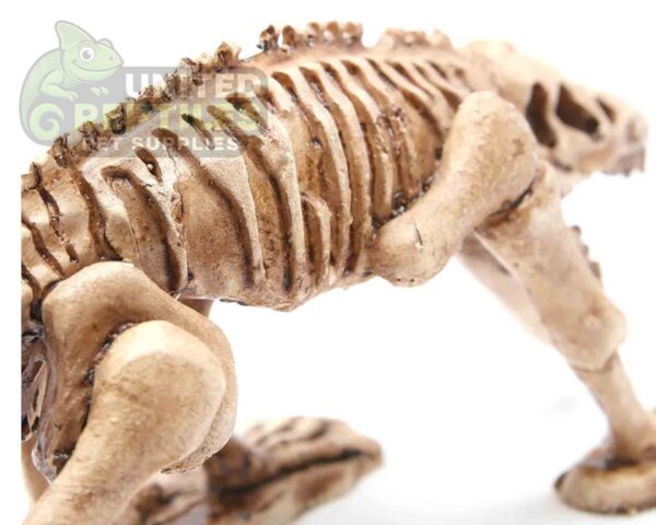 abstract hexagonal shape with lizard inside NS-99 Resin Dinosaur