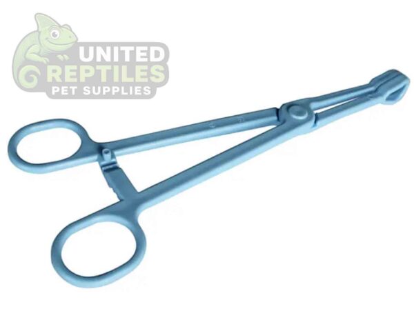 abstract hexagonal shape with lizard inside Nomoy Plastic Tweezers